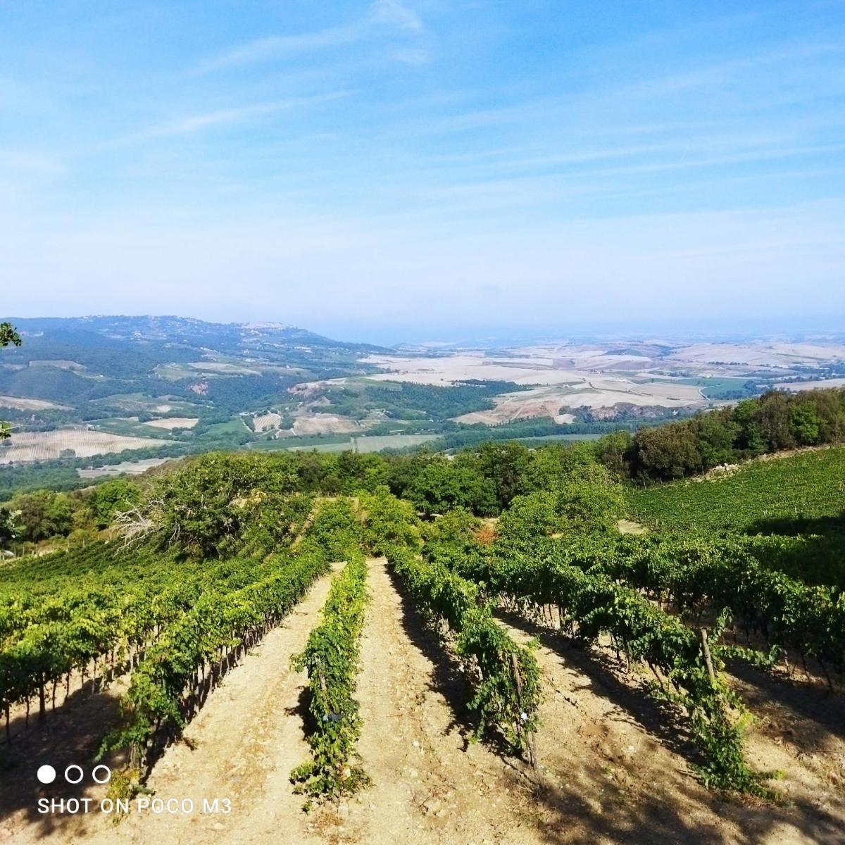 カスティリオーネ・ドルチャ Poggio Al Ventoゲストハウス エクステリア 写真